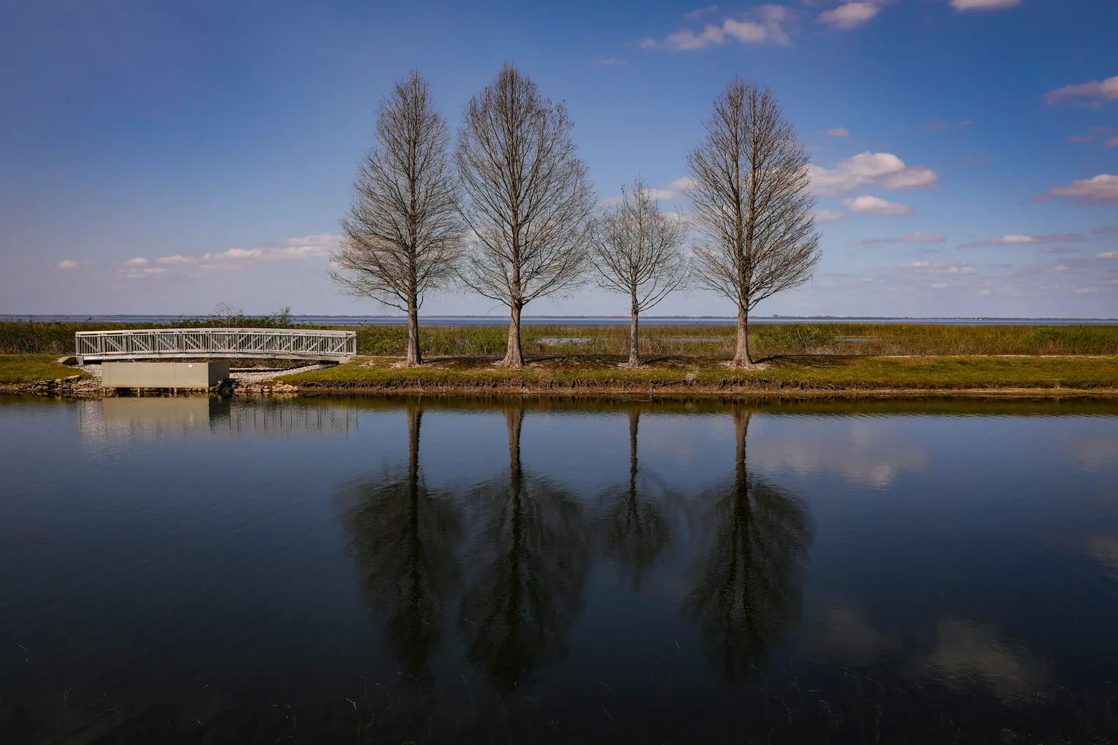 Cipreses y un puente peatonal reflejados en el lago, en Saint Cloud, Florida